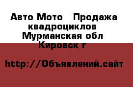 Авто Мото - Продажа квадроциклов. Мурманская обл.,Кировск г.